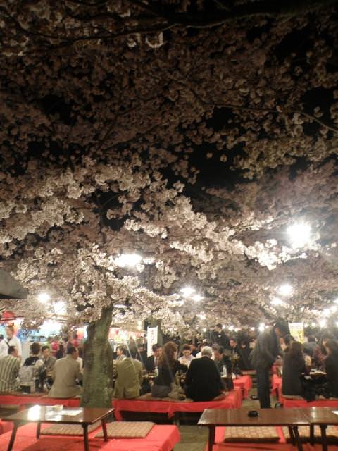 Πάρκο Maruyama, Kyoto