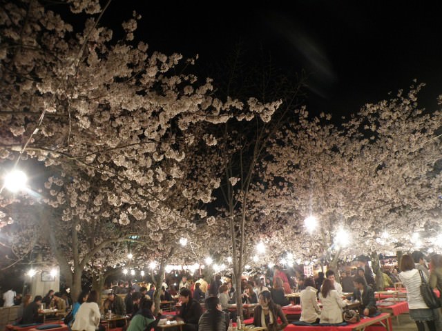 Πάρκο Maruyama, Kyoto