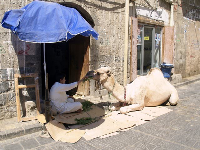 Παλιά πόλη της Σαναά