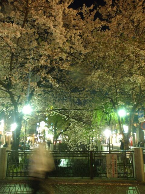 Περιοχή Pontocho, Kyoto