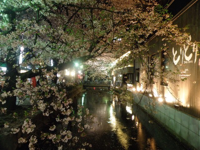 Περιοχή Pontocho, Kyoto