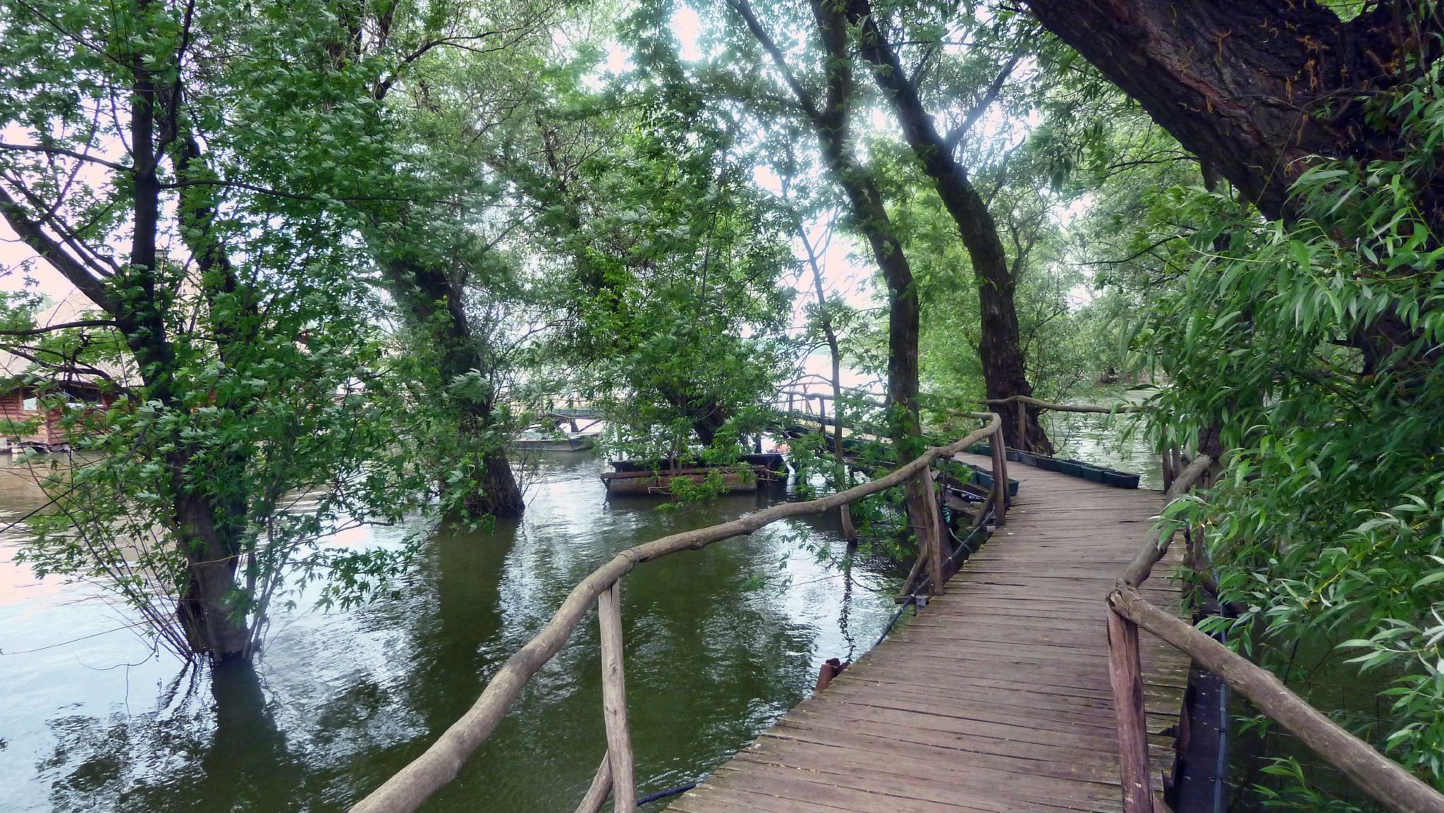 Το διάσημο εστιατόριο Stara Koliba πάνω στην ένωση των ποταμών Sava και Δούναβη