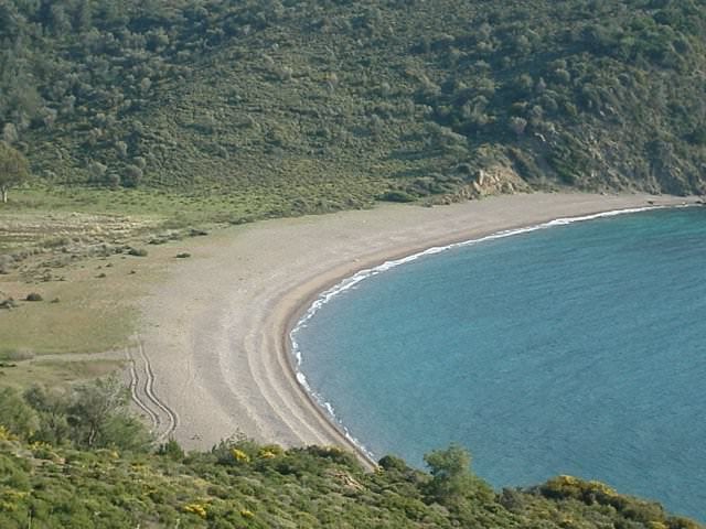 Χερσόνησος της Ερυθραίας