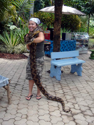 πύθωνας στο Bali zoo