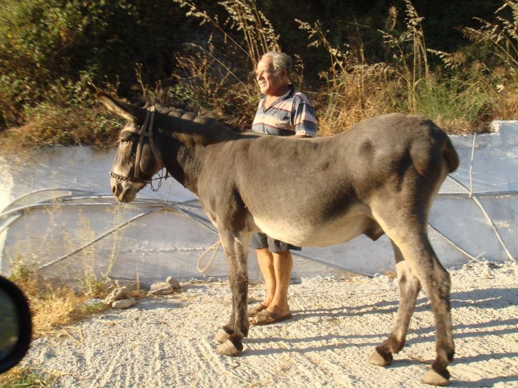 σπανιο ειδος πια...