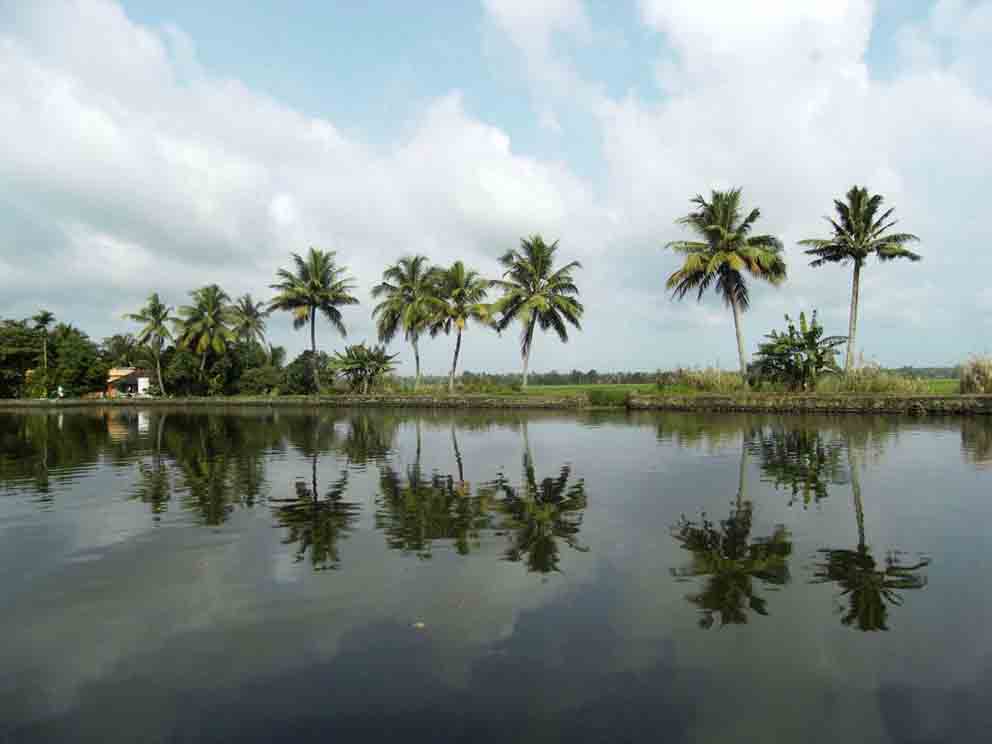 στα Backwaters της Κεραλας, νοτια Ινδια