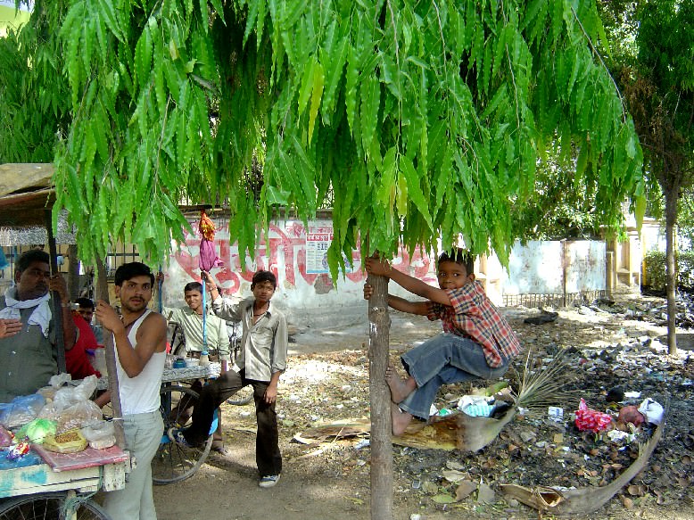 A Family in Benares (India, Varanasi)