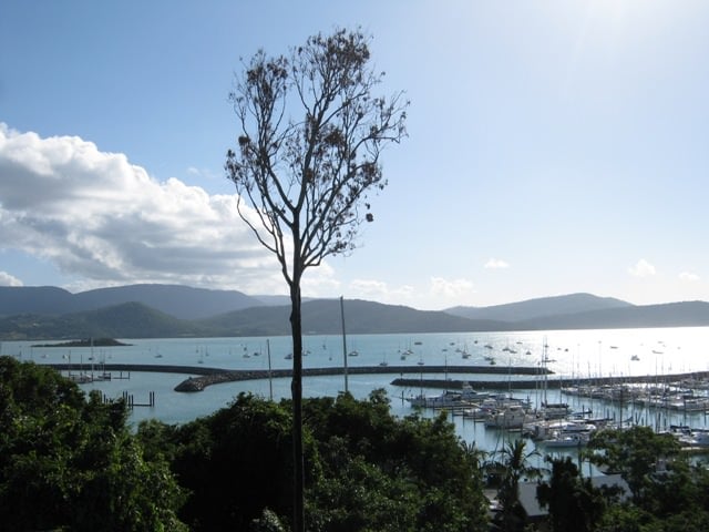 Airlie beach