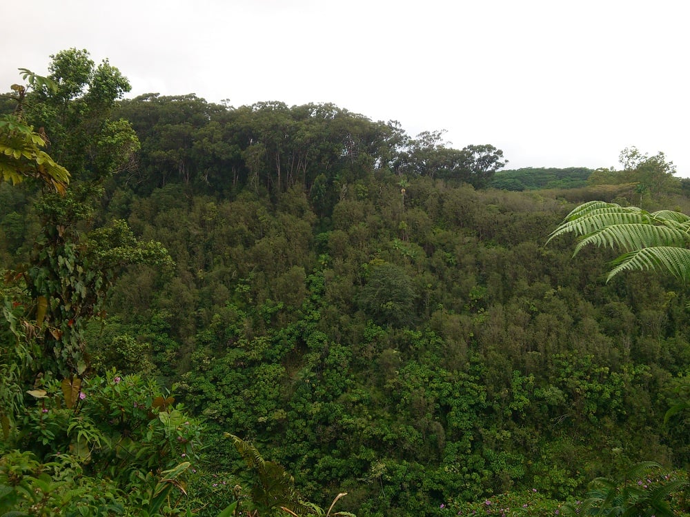 Akaka Park