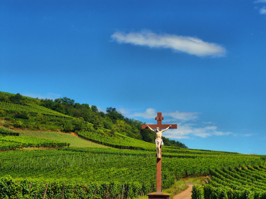 Alsace wine road