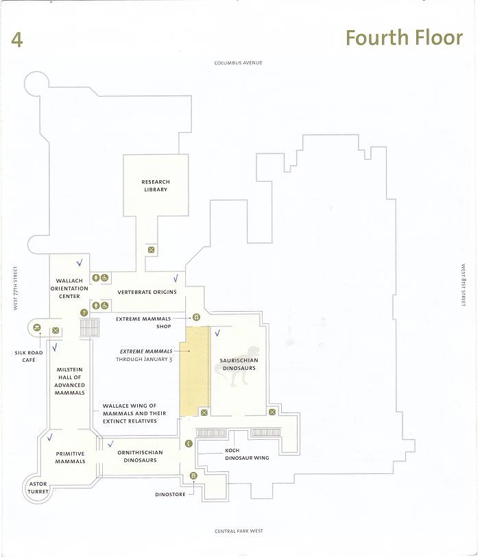 American Museum of Natural History 4th Floor