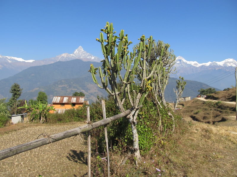 Annapurna mountains