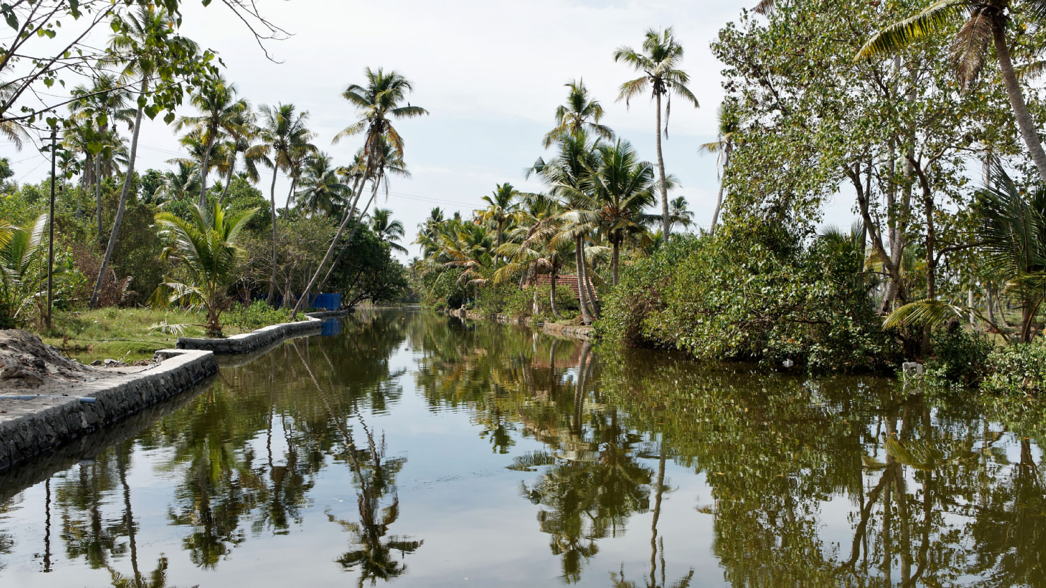 Backwaters, Kerala