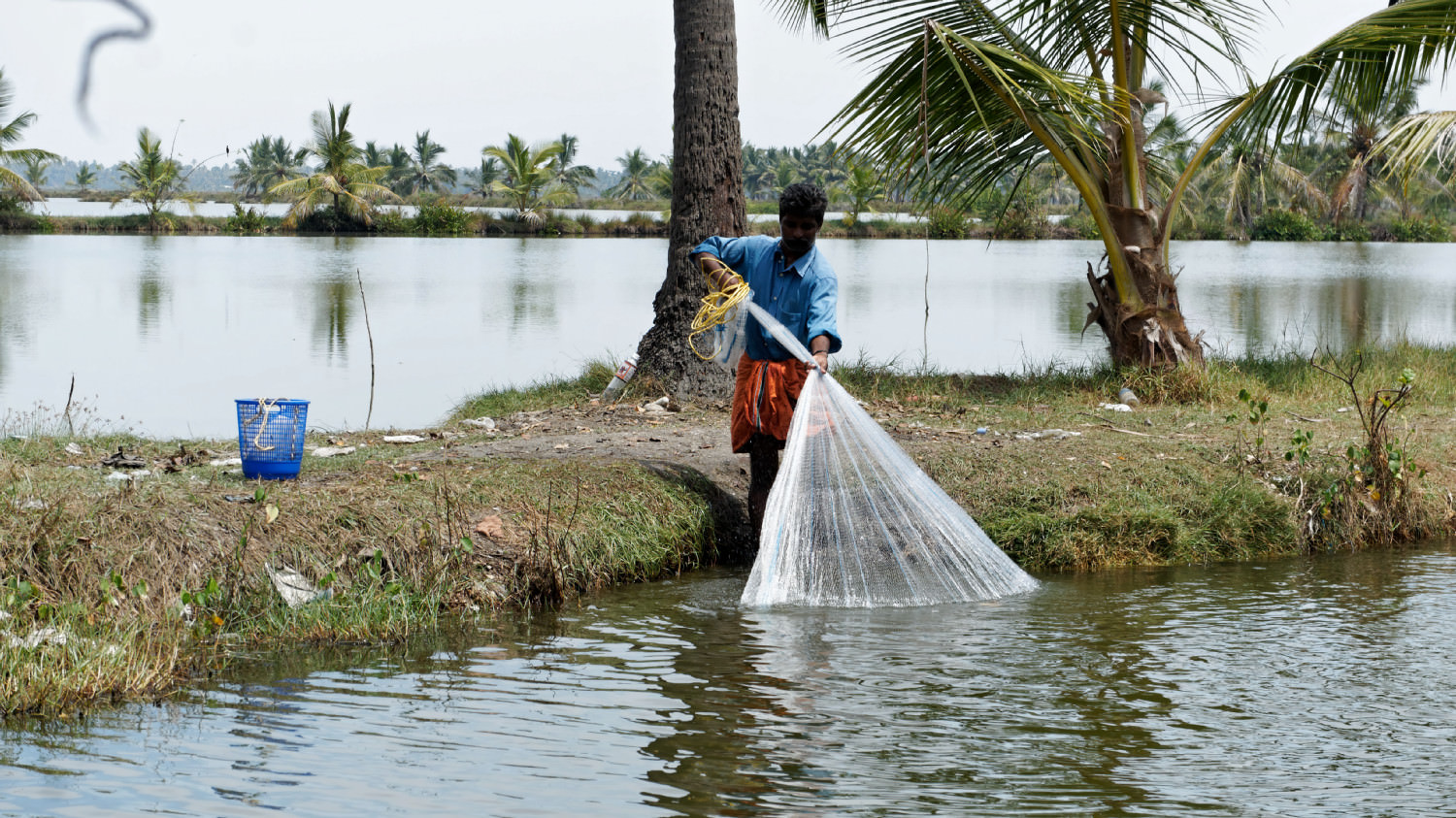 Backwaters, Kerala