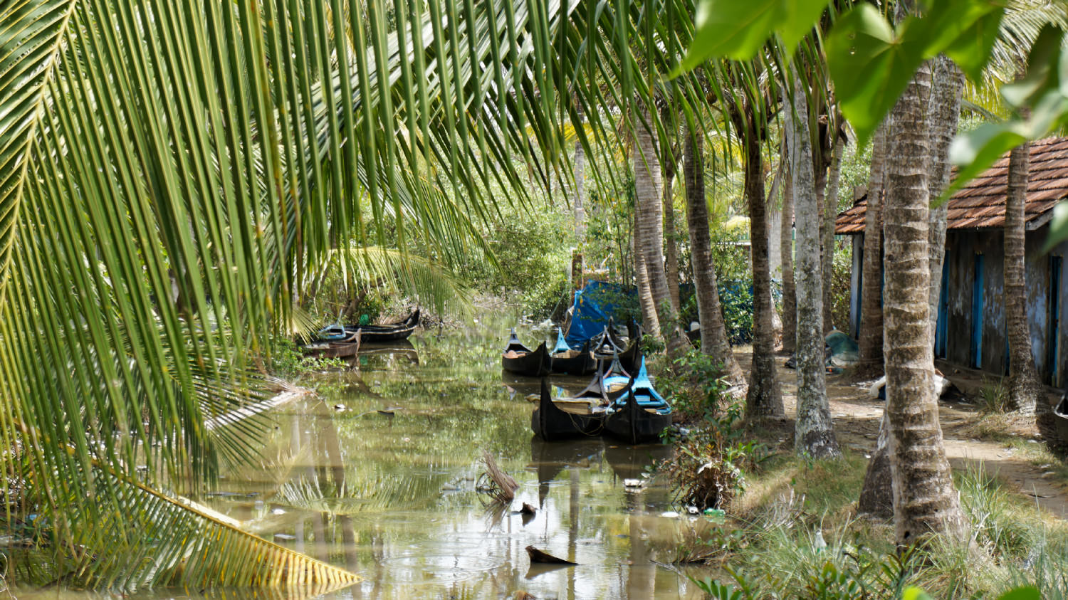 Backwaters, Kerala