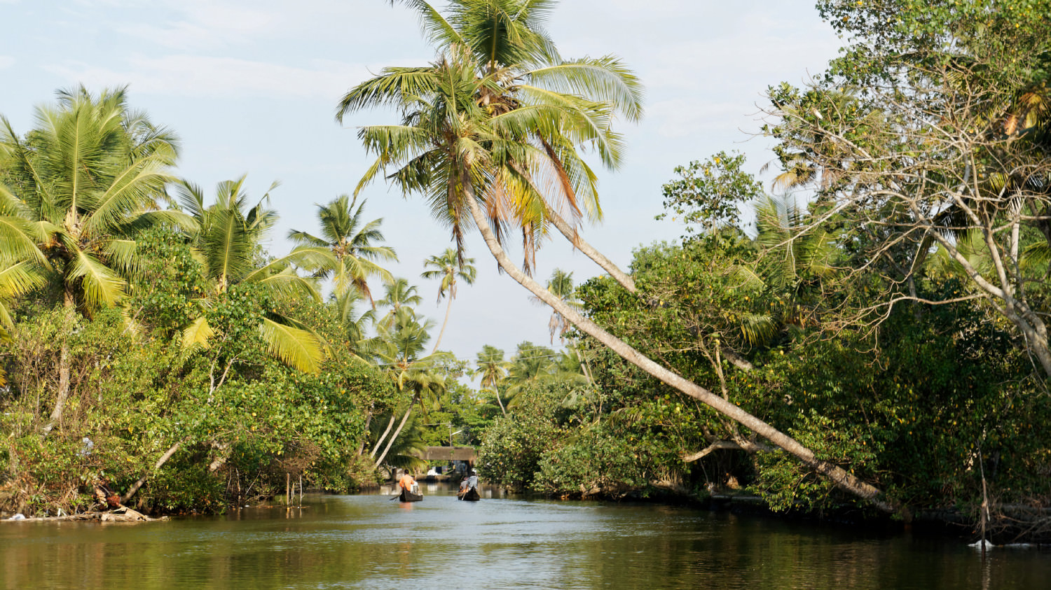 Backwaters, Kerala