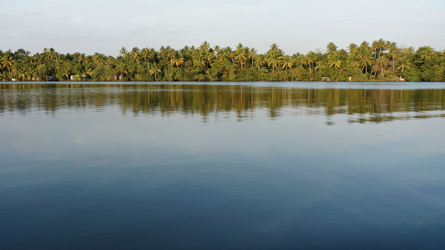 Backwaters, Kerala