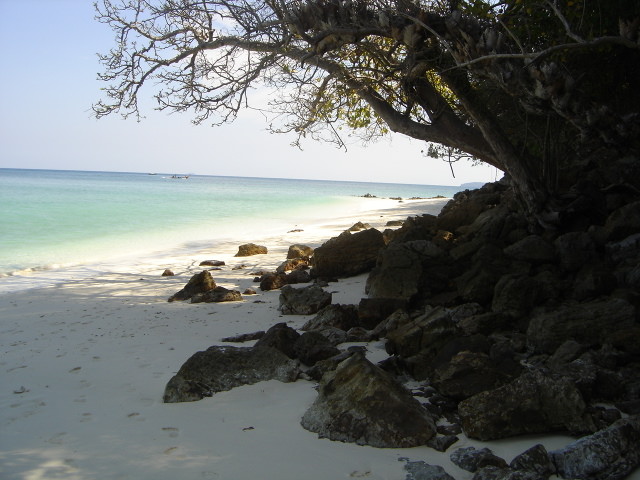 Bamboo Island