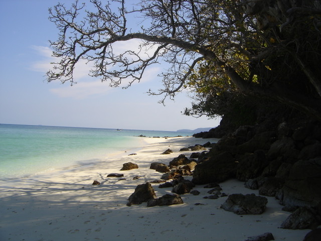 Bamboo Island