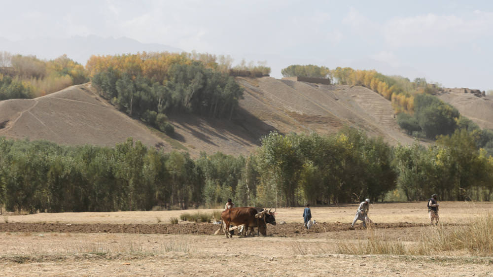 Bamyan