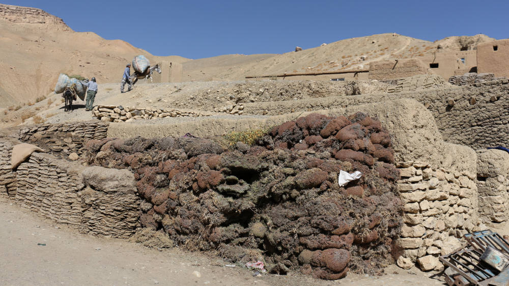 Bamyan