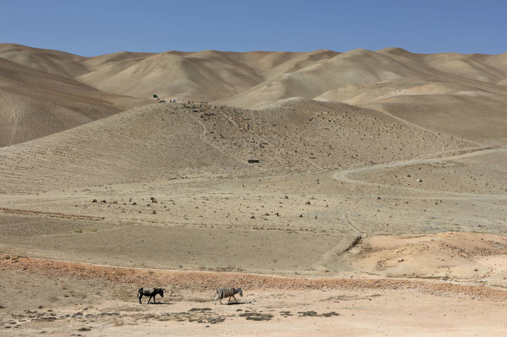 Bamyan