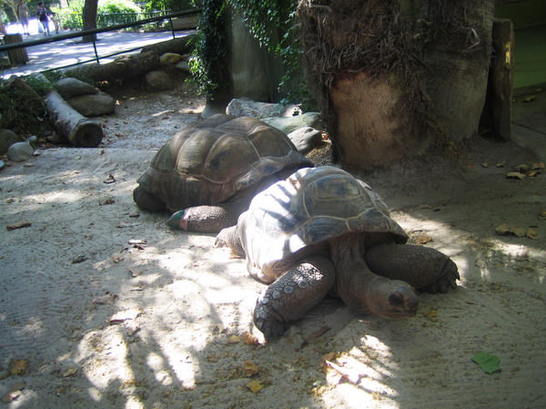 Barcelona Zoo