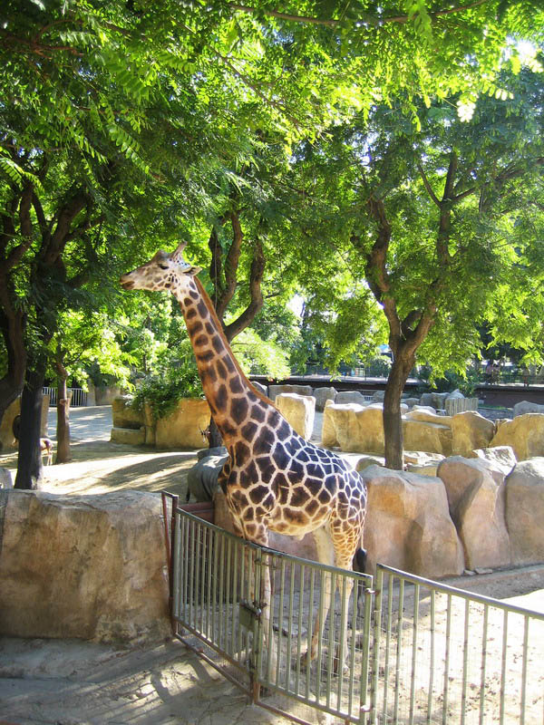 Barcelona Zoo