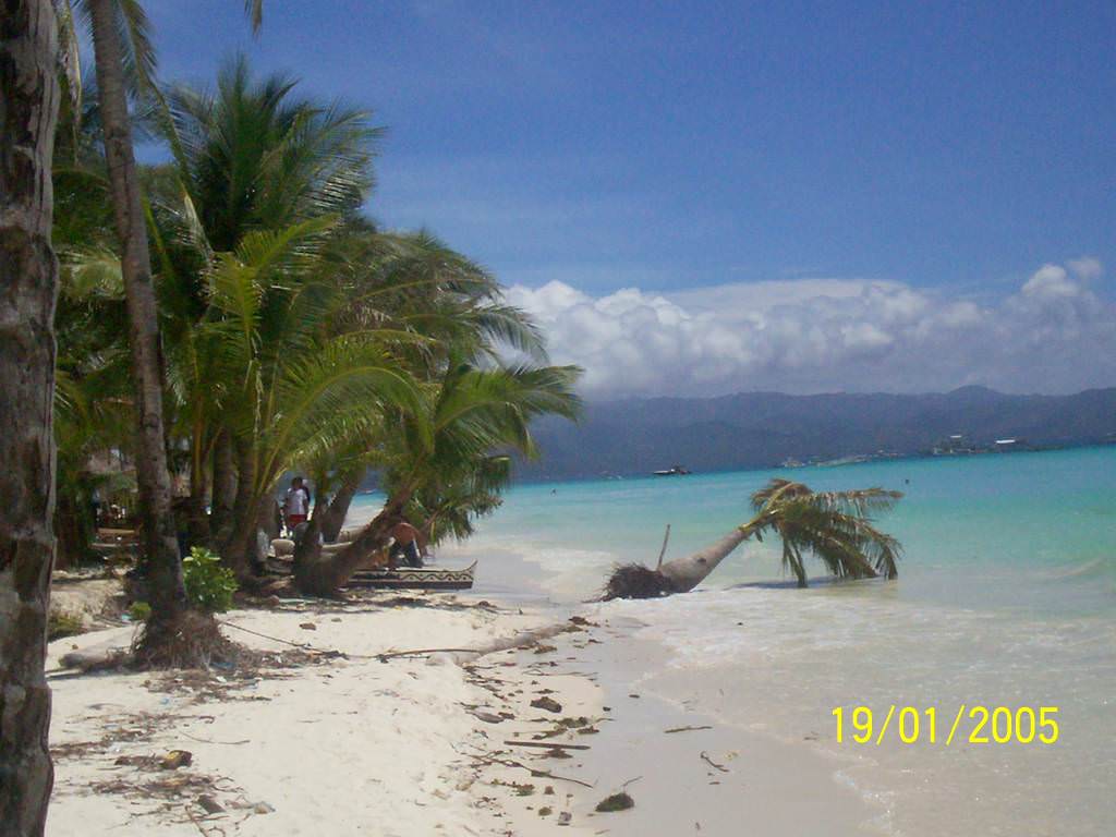 Boracay cocopalm kiss