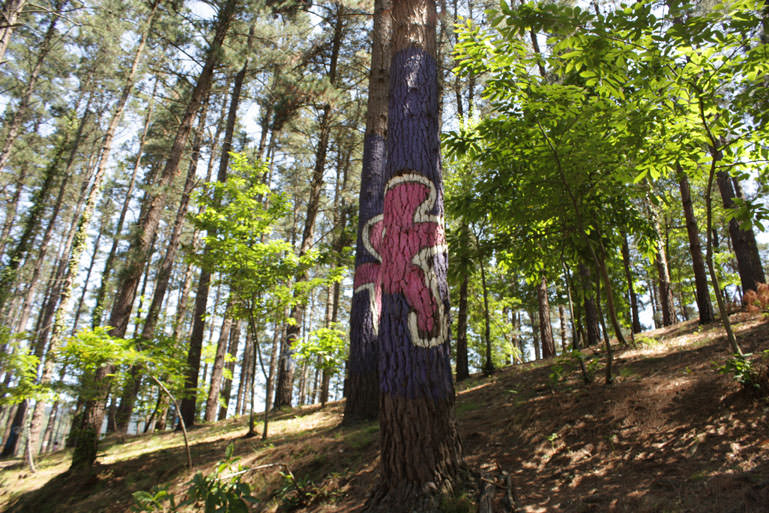 Bosque pintado