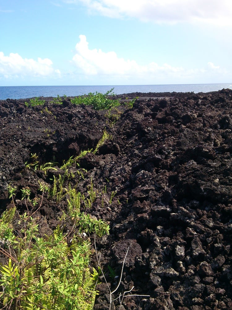 Cape Kumukahi 2