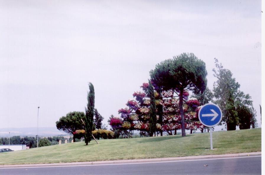 carcassonne