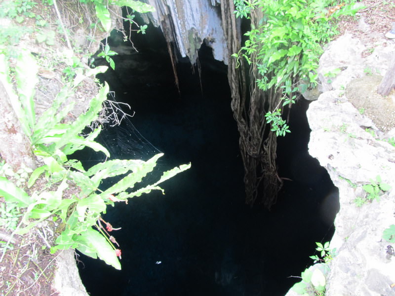 Cenotes entry