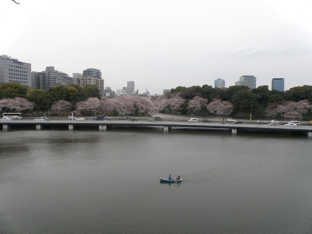 Chidori-ga-fuchi, Tokyo