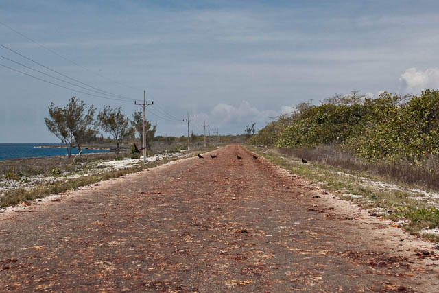 Cuba - η σφαγή των καβουριών