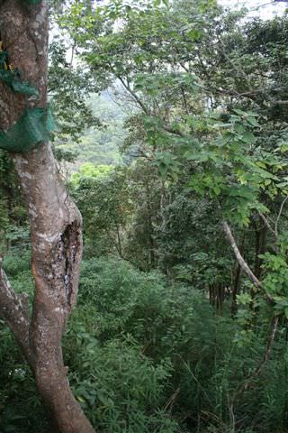 Doi Suthep-διαδρομή