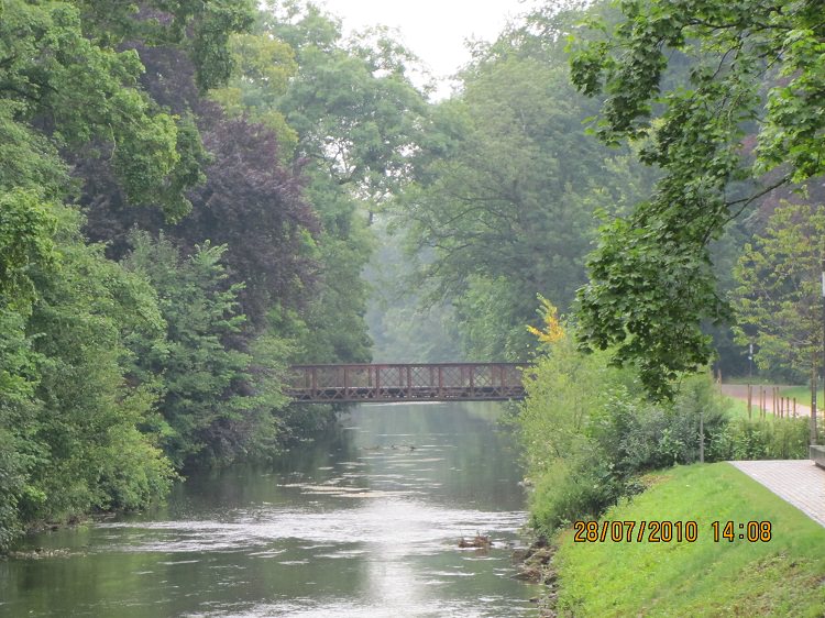 Donaueschingen_Black_forest