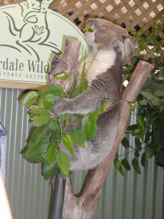 Featherdale Wildlife Park