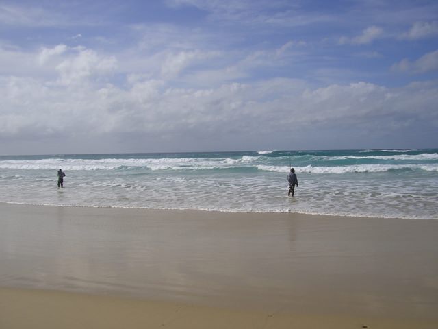 Fraser Island, ψάρεμα