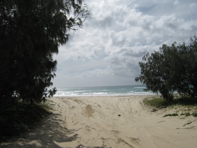 Fraser island