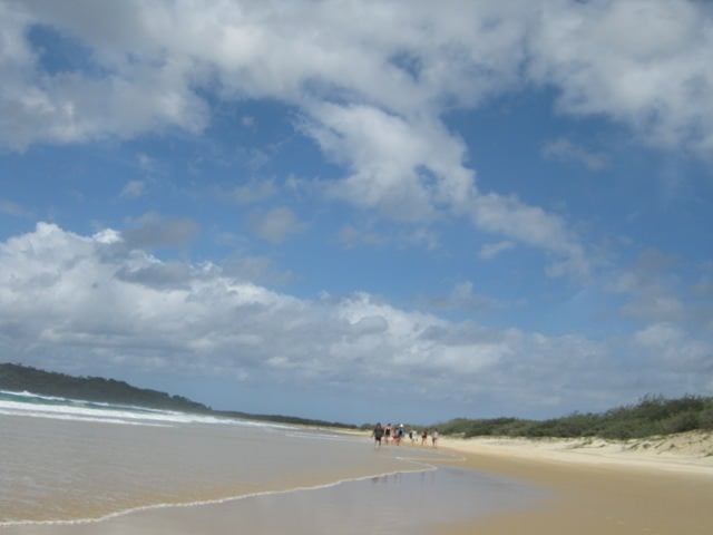 Fraser island