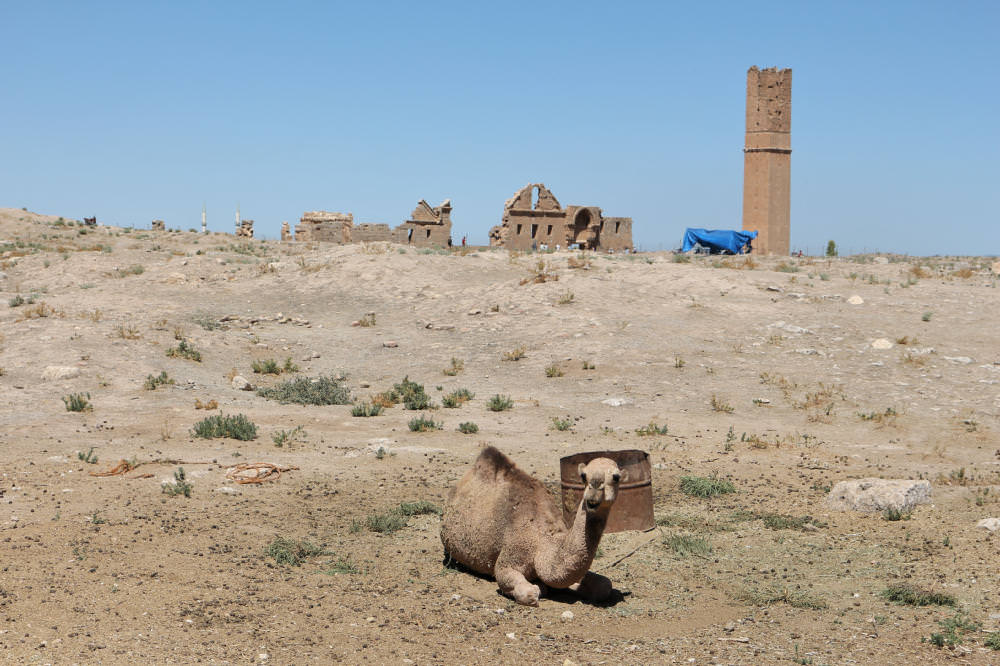 Harran