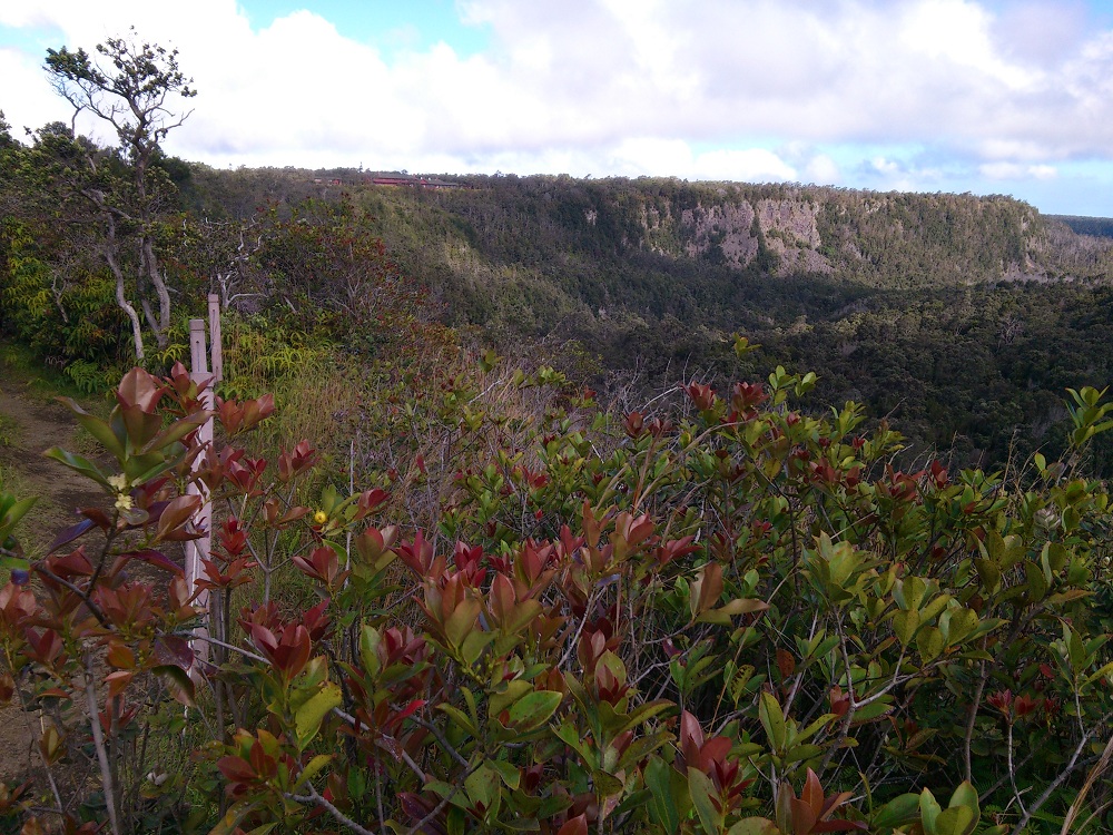 Iliahi Trail 1