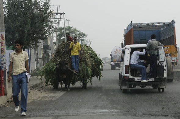 India