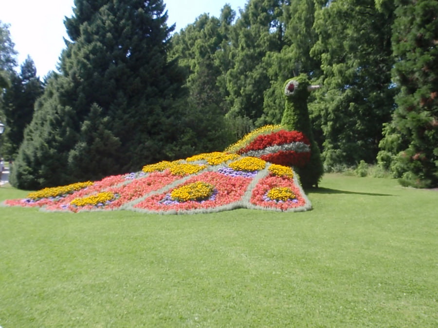 INSEL MAINAU - ΠΑΓΟΝΙ