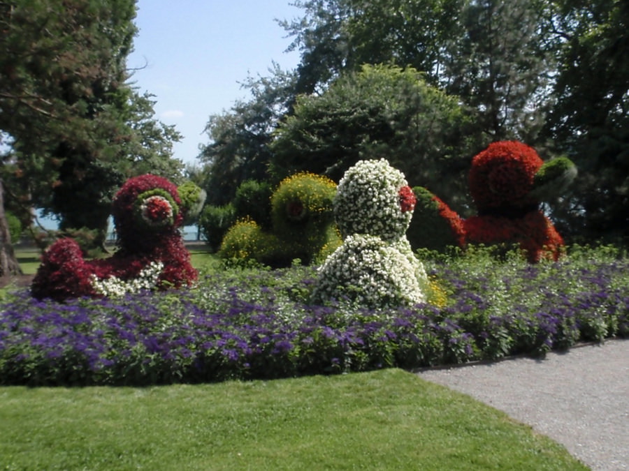 INSEL MAINAU - ΠΑΠΑΚΙΑ