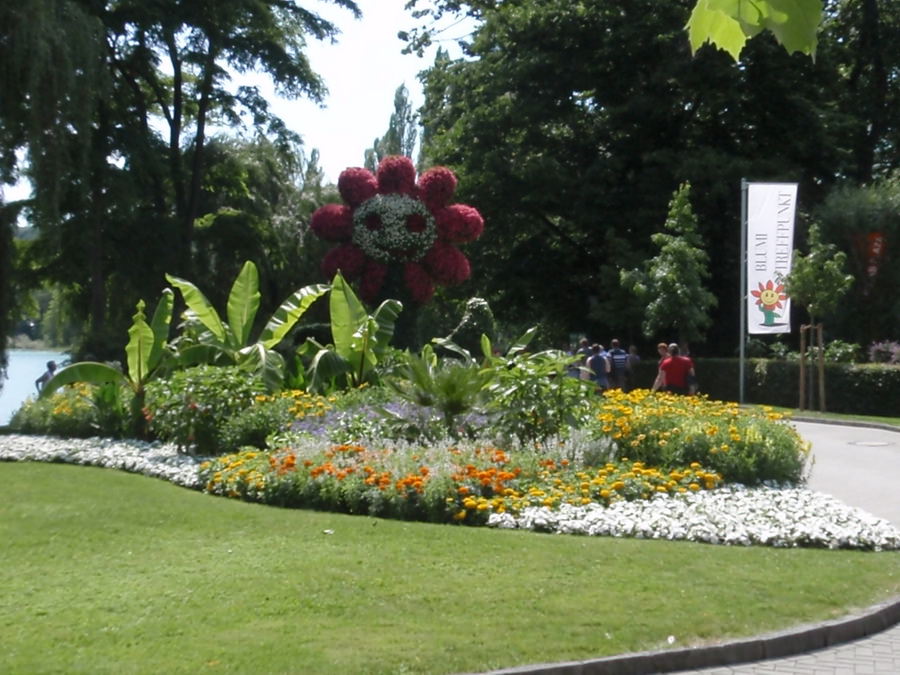 INSEL MAINAU.