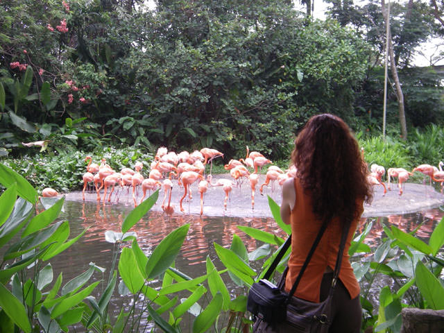 JURONG BIRD PARK