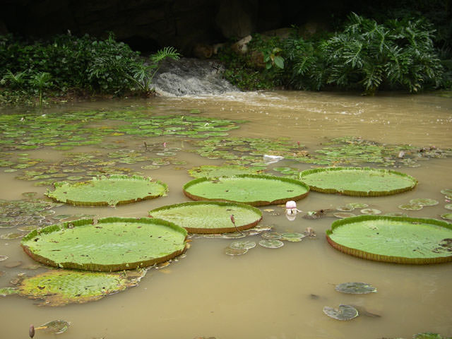 JURONG BIRD PARK