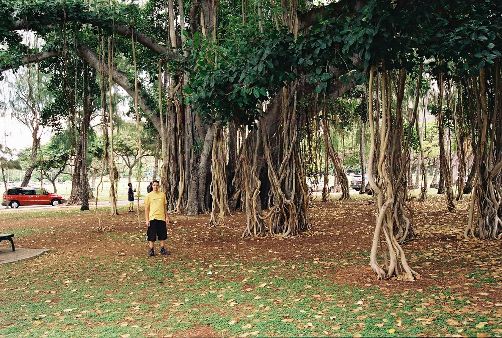 Kapiolani Park 1